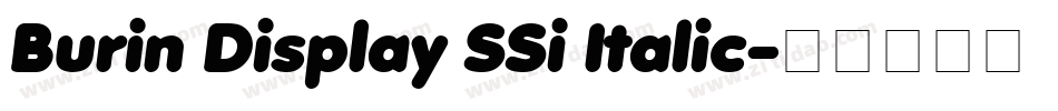 Burin Display SSi Italic字体转换